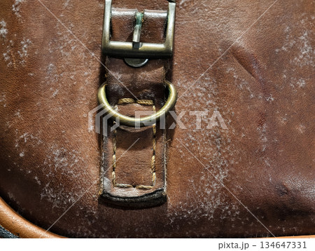 Close-up of mold growth on an old brown leather bag, showing white fungal patches and texture details. Useful for illustrating moisture damage, decay, and leather maintenance issues. 134647331