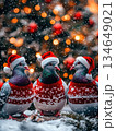 Festive pigeons wearing sweaters and Christmas hats gather together in a winter scene with colorful lights in the background 134649021