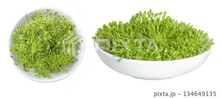 Dill herb or Anethum graveolens flower isolated on white background. Top view. Flat lay 134649135