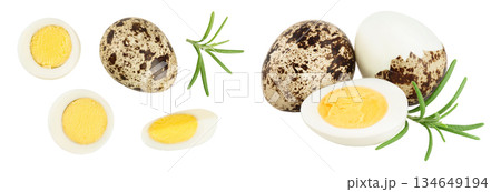 boiled quail egg isolated on white background with full depth of field. Top view. Flat lay boiled quail egg isolated on white background with full depth of field. Top view. Flat lay 134649194