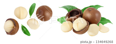 macadamia nuts isolated on white background with full depth of field. Top view. Flat lay. macadamia nuts isolated on white background with full depth of field. Top view. Flat lay. 134649268