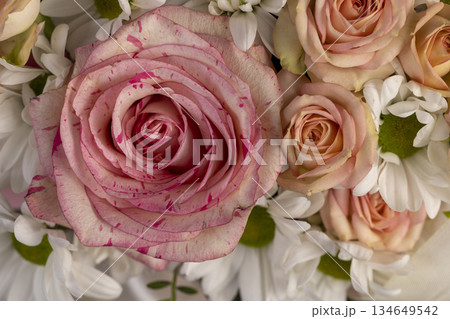 red arrangement of a large variety of flowers of different colors, a flower arrangement for giving from different colors and different types of flowers 134649542