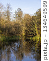 various trees near the shore in the autumn season, a small lake and trees on the shore without foliage during the autumn fall 134649599