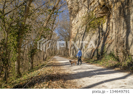 senior man is walking with a pitbull dog on Katy Trail near Rocheport, Missouri, late November forest scenery senior man is walking with a pitbull dog on Katy Trail near Rocheport, Missouri, late November forest scenery 134649791
