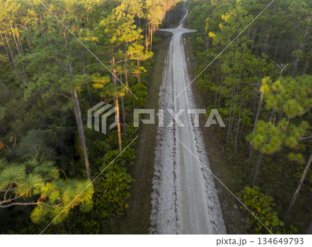 sandy road at sunrise - Apalachicola National Forest in Florida, aerial view 134649793