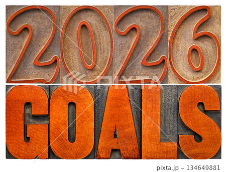2026 goals banner - New Year resolution concept - isolated text in vintage letterpress wood type printing blocks 134649881