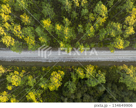 sandy road at sunrise - Apalachicola National Forest in Florida, aerial view sandy road at sunrise - Apalachicola National Forest in Florida, aerial view 134649906