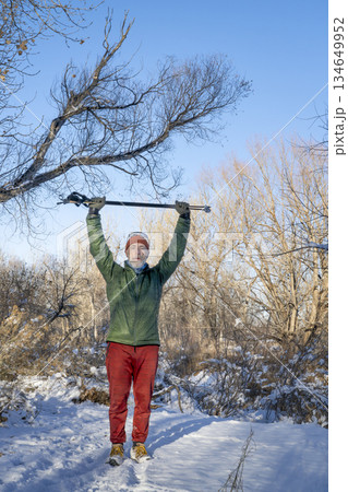 senior man is Nordic walking on a trail through a riparian forest along the Poudre River in Colorado, winter scenery 134649952