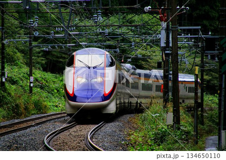 サヨナラ翼… 山間の奥羽本線を征く『山形新幹線つばさ』E3系 サヨナラ翼… 山間の奥羽本線を征く『山形新幹線つばさ』E3系 134650110