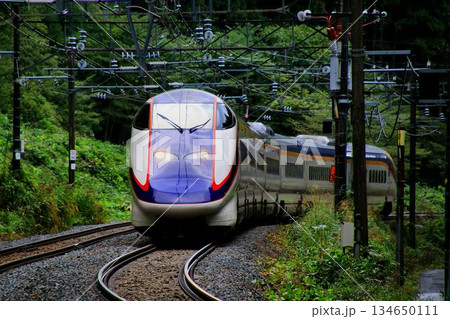 サヨナラ翼… 山間の奥羽本線を征く『山形新幹線つばさ』E3系 サヨナラ翼… 山間の奥羽本線を征く『山形新幹線つばさ』E3系 134650111