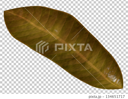 Dead leaves 134651717