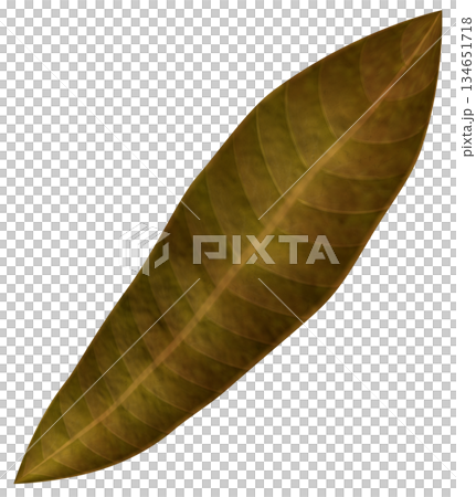 Dead leaves 134651718