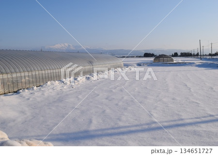 豪雪地方のビニールハウス 豪雪地方のビニールハウス 134651727
