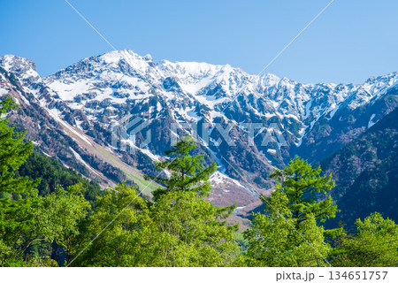 さわやか上高地『残雪の穂高連峰と新緑のカラマツ』《長野県 松本市》 さわやか上高地『残雪の穂高連峰と新緑のカラマツ』《長野県 松本市》 134651757