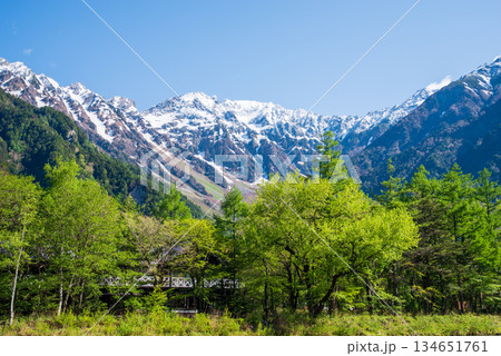 さわやか上高地『残雪の穂高連峰と新緑のカラマツ』《長野県 松本市》 134651761