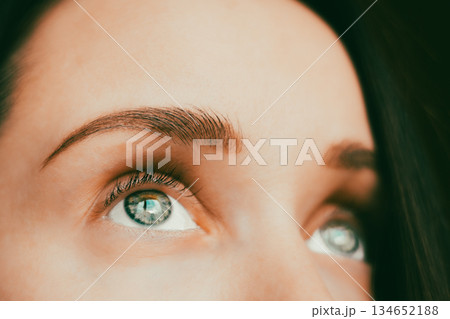 Close-up of female eyes looking upward with natural eyelashes and well-shaped eyebrows. Vision care, eyebrow shaping, makeup concepts. Close-up of female eyes looking upward with natural eyelashes and well-shaped eyebrows. Vision care, eyebrow shaping, makeup concepts. 134652188