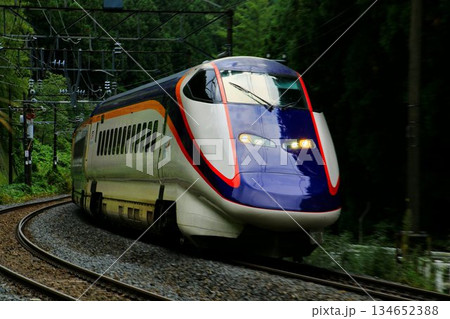 サヨナラ翼… 山間の奥羽本線を征く『山形新幹線つばさ』E3系 134652388