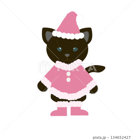 ピンクのサンタ服を着たかわいい猫のイラスト 134652427