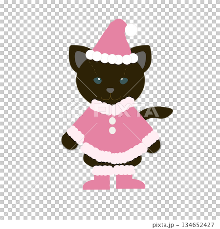 Illustration of a cute cat wearing a pink Santa suit Illustration of a cute cat wearing a pink Santa suit 134652427