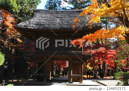 紅葉に包まれた山門 12月新座41山門の紅葉・平林寺 紅葉に包まれた山門 12月新座41山門の紅葉・平林寺 134652571