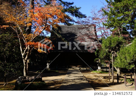 紅葉の中の平林寺仏殿 12月新座42仏殿の紅葉・平林寺 紅葉の中の平林寺仏殿 12月新座42仏殿の紅葉・平林寺 134652572