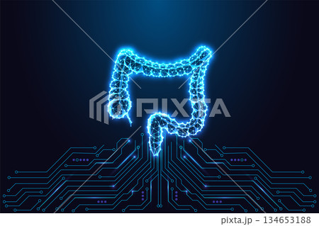 Gastro health, biotech and smart medicine. Digital intestines on circuit board. Medical diagnostics 134653188