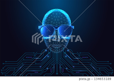 AI identity, cyber persona and digital style concept with head with sunglasses above circuit board. AI identity, cyber persona and digital style concept with head with sunglasses above circuit board. 134653189