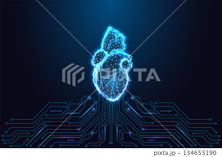 Low-poly digital human heart above circuit board. Cardiology, medical tech and innovation, vector Low-poly digital human heart above circuit board. Cardiology, medical tech and innovation, vector 134653190