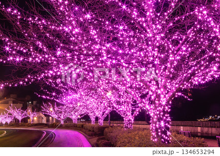 イルミネーションに彩られた尾道駅前 134653294