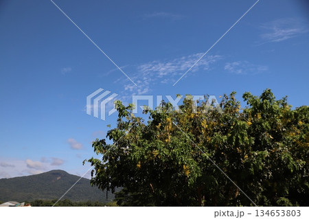 キュランダ鉄道 134653803