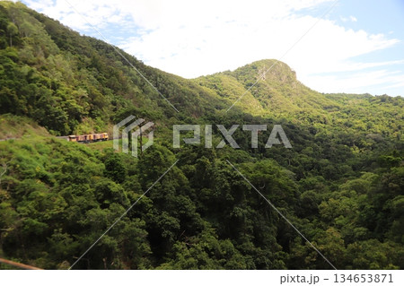 キュランダ鉄道 134653871