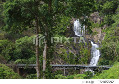 キュランダ鉄道 キュランダ鉄道 134653921