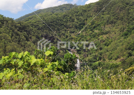 キュランダ鉄道 134653925