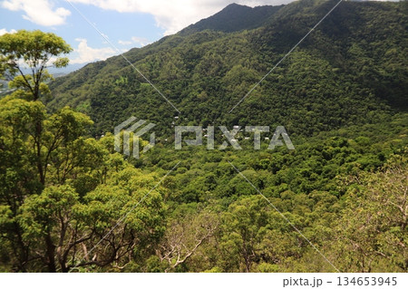 キュランダ鉄道 134653945