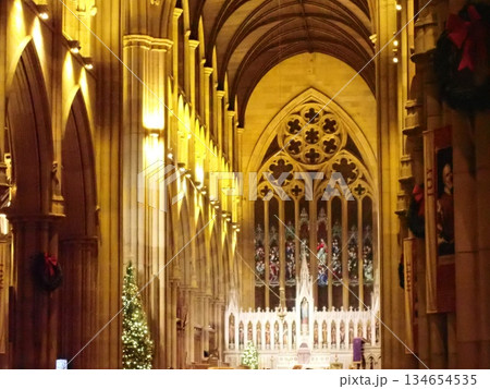 クリスマスのセント・メアリー大聖堂 クリスマスのセント・メアリー大聖堂 134654535