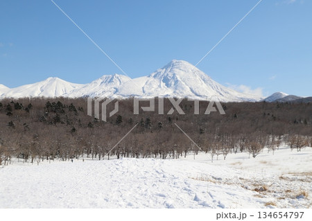 エゾシカと雪山 エゾシカと雪山 134654797