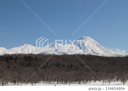 エゾシカと雪山 134654804