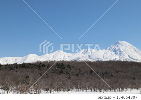 エゾシカと雪山 エゾシカと雪山 134654807