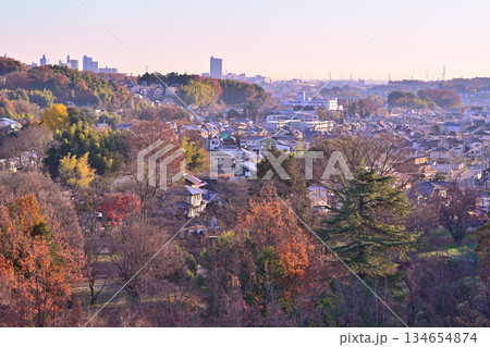 早朝の住宅街の風景 狭山湖湖畔堤からの眺め 早朝の住宅街の風景 狭山湖湖畔堤からの眺め 134654874