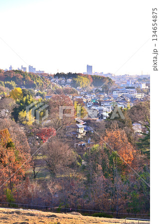 早朝の住宅街の風景 狭山湖湖畔堤からの眺め 早朝の住宅街の風景 狭山湖湖畔堤からの眺め 134654875