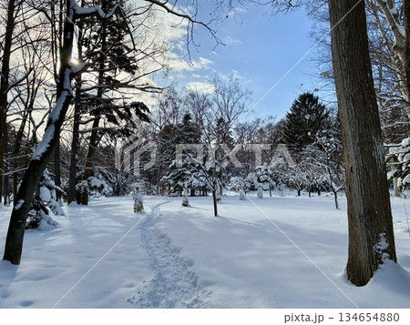 雪の積もった広場 134654880