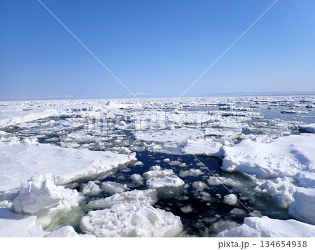 冬の使者 134654938