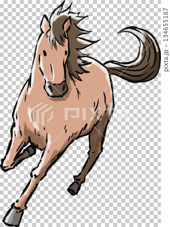 New Year's card, horse, year of the horse, horse, animal, zodiac, Japanese style, Japanese, New Year, gold, New Year's, New Year's card material 134655187