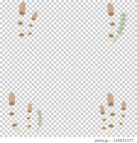 柔美的花框,幼兒園班級名稱系列 | 馬尾草 柔美的花框,幼兒園班級名稱系列 | 馬尾草 134655377