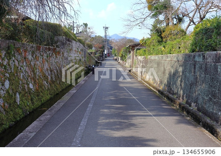 飫肥の城下町(後町通り) 飫肥の城下町(後町通り) 134655906