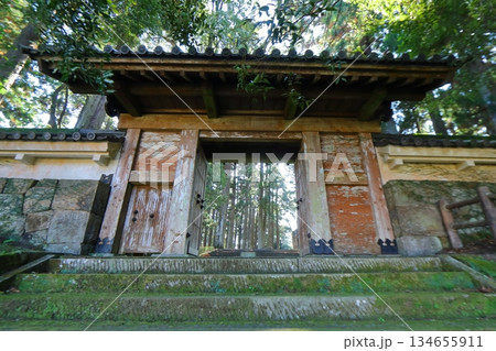 飫肥城 旧本丸の裏門と飫肥杉(宮崎県日南市) 飫肥城 旧本丸の裏門と飫肥杉(宮崎県日南市) 134655911
