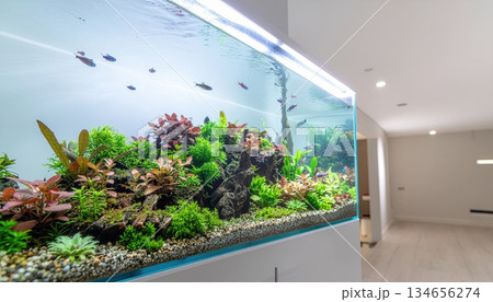 《AI画像》熱帯魚が泳ぐ水槽のあるおしゃれな部屋 134656274