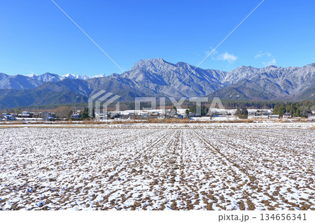 冬の安曇野　田園と北アルプス 134656341