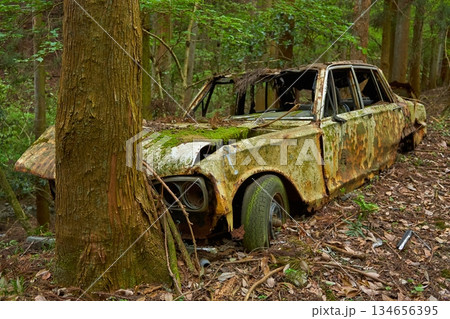 山中に不法投棄され朽ち果てた自動車 134656395