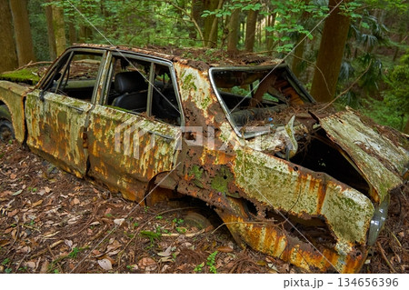 山中に不法投棄され朽ち果てた自動車 山中に不法投棄され朽ち果てた自動車 134656396